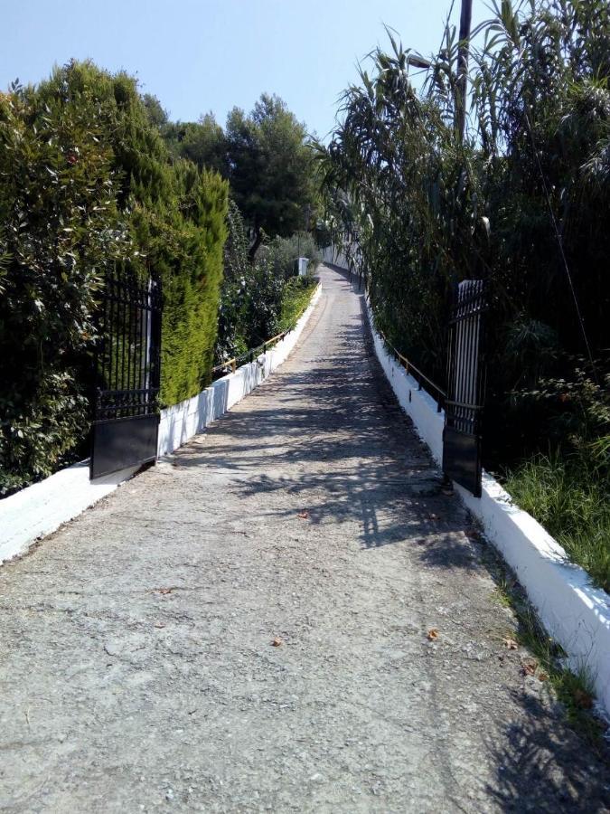 אגיה פאראסקבי Villa Xanthippi מראה חיצוני תמונה