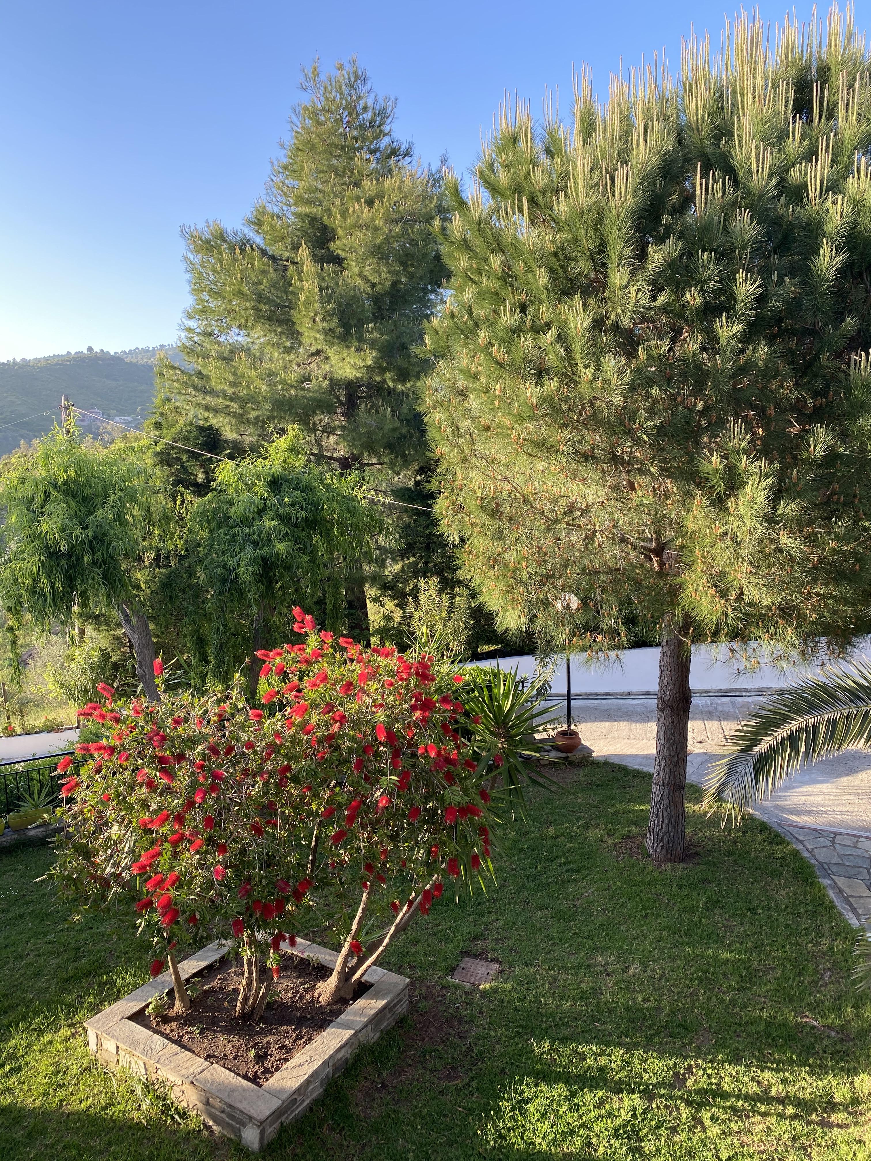 אגיה פאראסקבי Villa Xanthippi מראה חיצוני תמונה