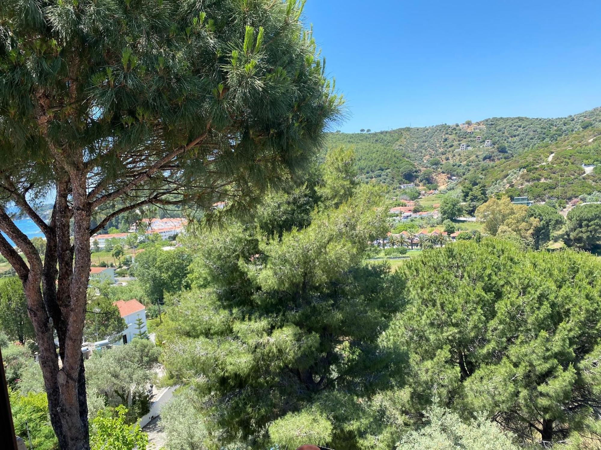 אגיה פאראסקבי Villa Xanthippi מראה חיצוני תמונה